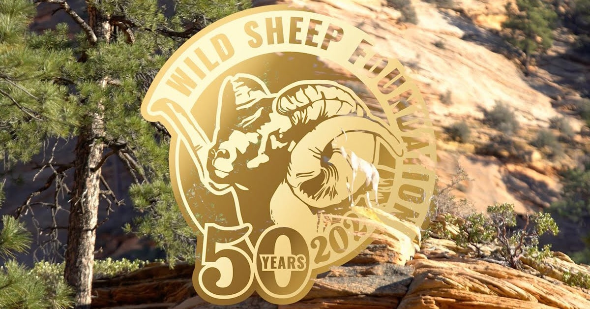2027 Wild Sheep Foundation 50th Anniversary Sheep Show Celebration
